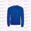 ls-spider-royal blue